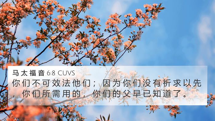 马 太 福 音 6:8 CUVS Bible Verse Image