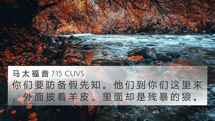 马 太 福 音 7:15 CUVS Bible Verse Image