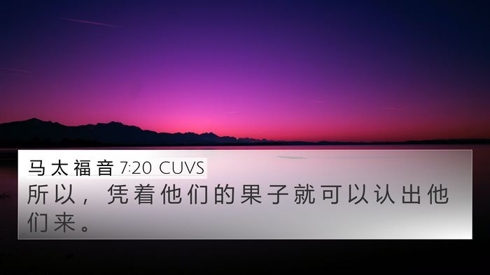 马 太 福 音 7:20 CUVS Bible Verse Image