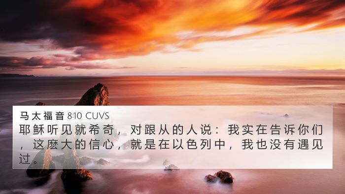 马 太 福 音 8:10 CUVS Bible Verse Image