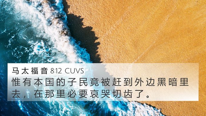 马 太 福 音 8:12 CUVS Bible Verse Image