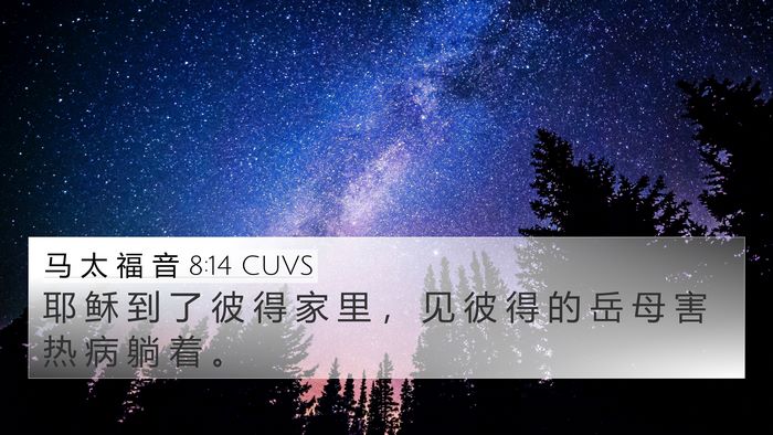 马 太 福 音 8:14 CUVS Bible Verse Image