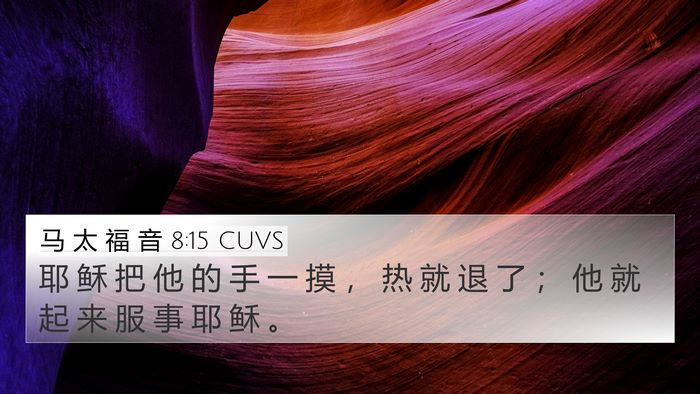 马 太 福 音 8:15 CUVS Bible Verse Image