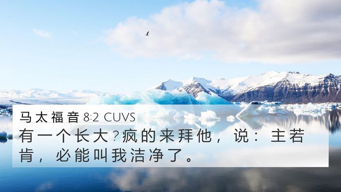 马 太 福 音 8:2 CUVS Bible Verse Image