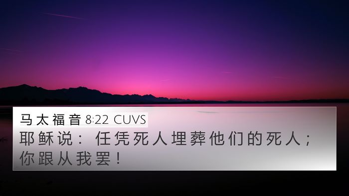 马 太 福 音 8:22 CUVS 4K Wallpaper - 耶 稣 说 ： 任 凭 死 人 埋 葬 他 们 - 4K Wallpaper Bible Verse