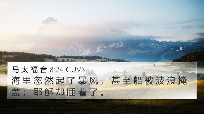 马 太 福 音 8:24 CUVS Bible Verse Image