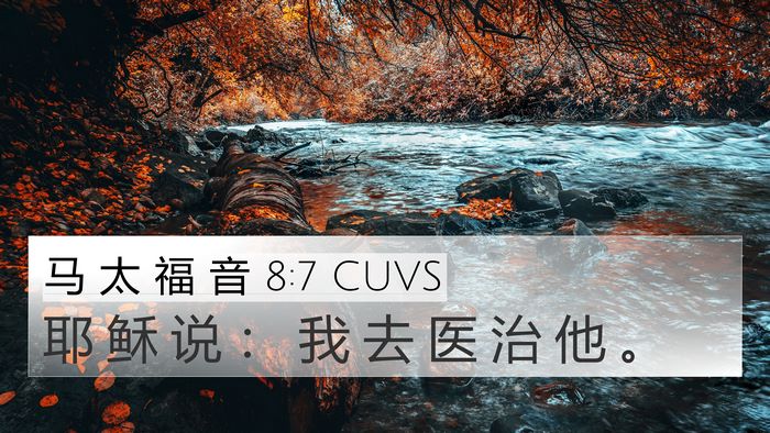 马 太 福 音 8:7 CUVS 4K Wallpaper - 耶 稣 说 ： 我 去 医 治 他 - 4K Wallpaper Bible Verse