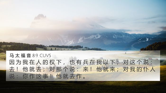 马 太 福 音 8:9 CUVS Bible Verse Image