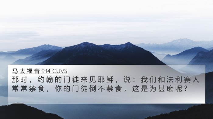 马 太 福 音 9:14 CUVS Bible Verse Image