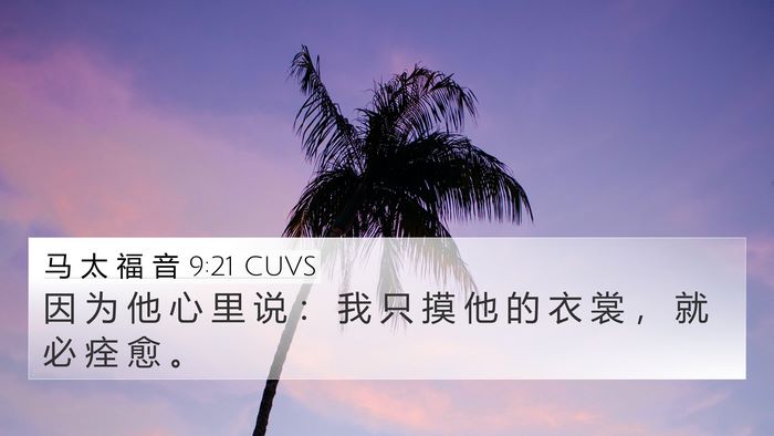 马 太 福 音 9:21 CUVS 4K Wallpaper - 因 为 他 心 里 说 ： 我 只 摸 他 的 - 4K Wallpaper Bible Verse