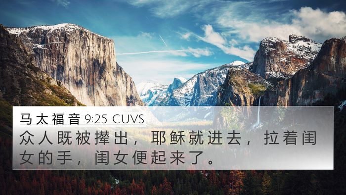 马 太 福 音 9:25 CUVS Bible Verse Image