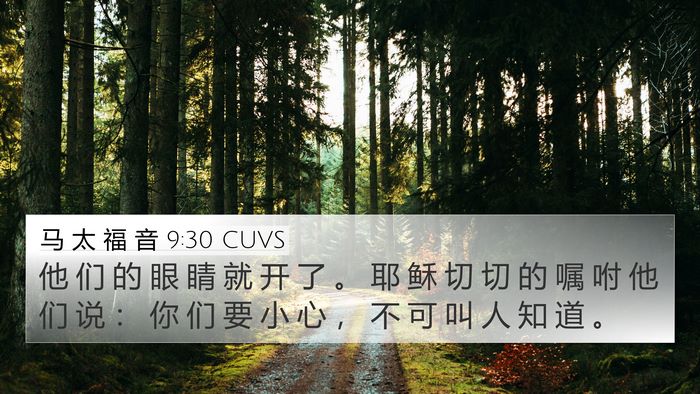 马 太 福 音 9:30 CUVS Bible Verse Image