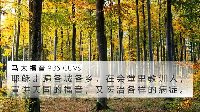 马 太 福 音 9:35 CUVS Bible Verse Image