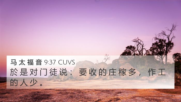 马 太 福 音 9:37 CUVS Bible Verse Image