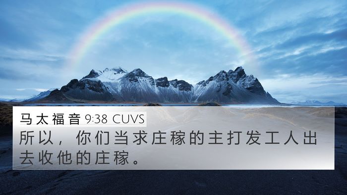 马 太 福 音 9:38 CUVS 4K Wallpaper - 所 以 ， 你 们 当 求 庄 稼 的 主 打 - 4K Wallpaper Bible Verse