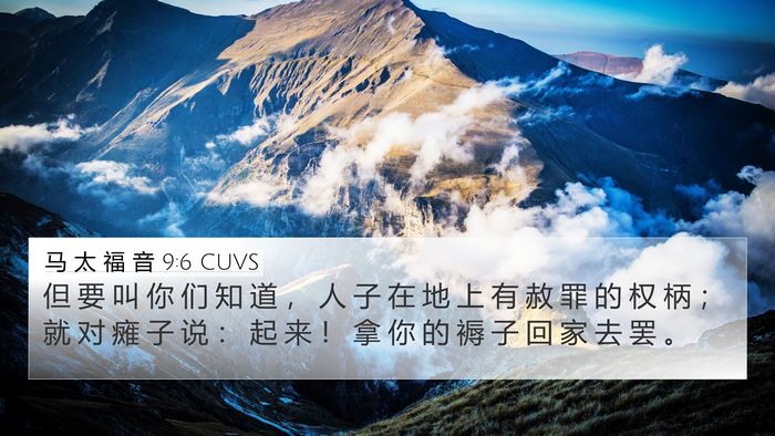 马 太 福 音 9:6 CUVS Bible Verse Image