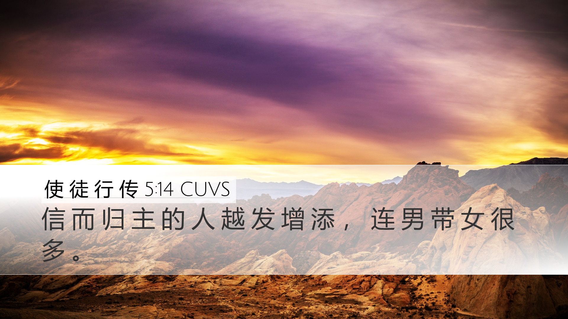 使 徒 行 传 5:14 CUVS Desktop Wallpaper - 信 而 归 主 的 人 越 发 增 添 , 连