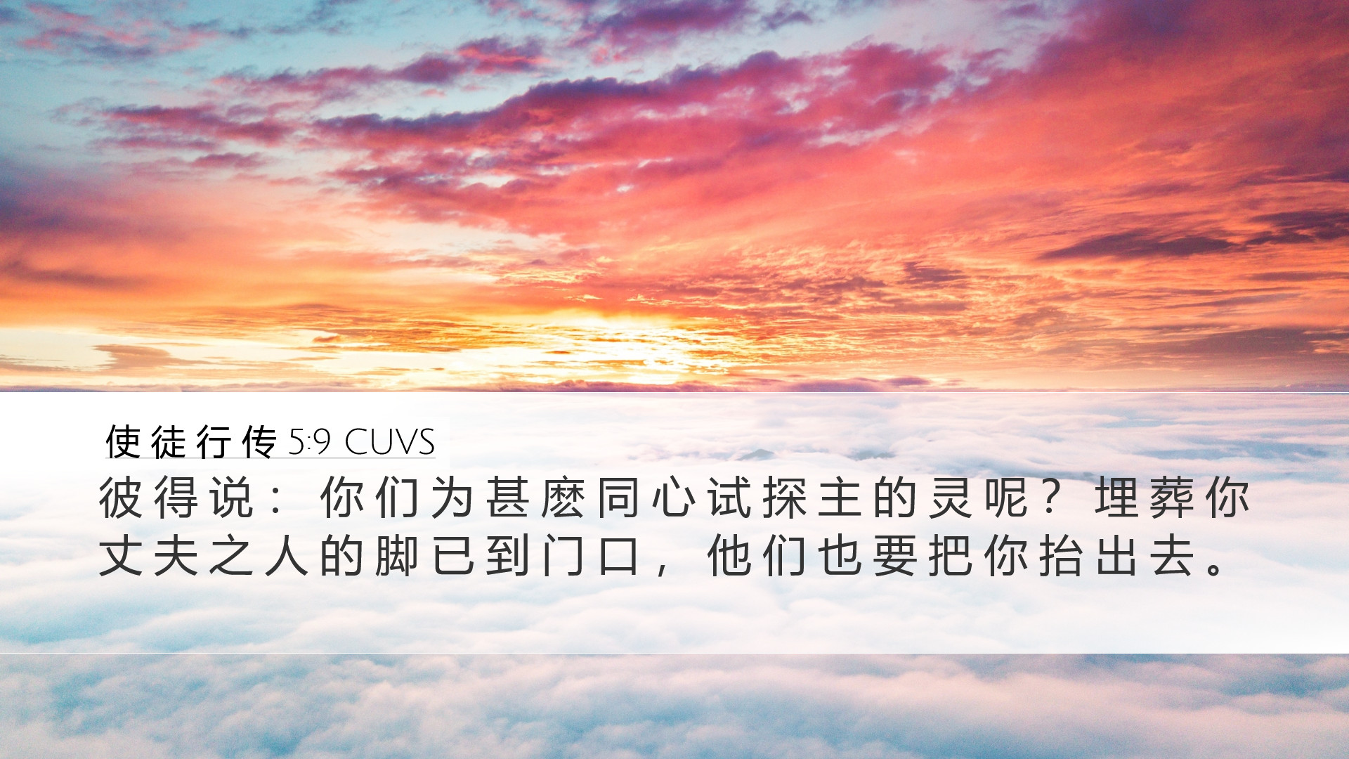 使 徒 行 传 5:9 CUVS Desktop Wallpaper - 彼 得 说 : 你 们 为 甚 麽 同 心 试