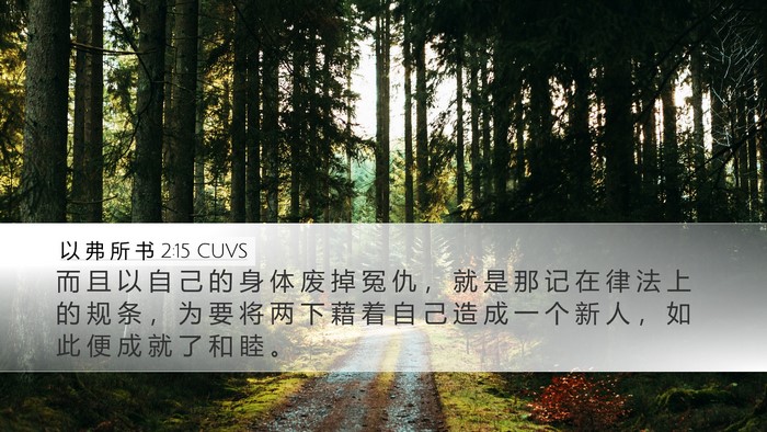 以 弗 所 书 2:15 CUVS Bible Verse Image