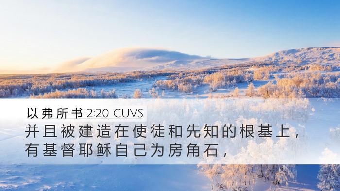 以 弗 所 书 2:20 CUVS Bible Verse Image