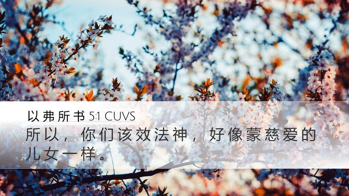 以 弗 所 书 5:1 CUVS Bible Verse Image