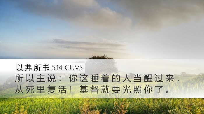 以 弗 所 书 5:14 CUVS Bible Verse Image