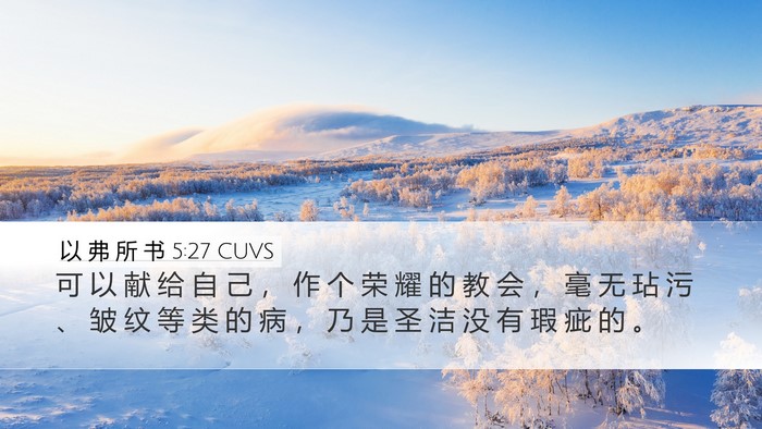 以 弗 所 书 5:27 CUVS Bible Verse Image