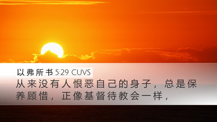 以 弗 所 书 5:29 CUVS Bible Verse Image