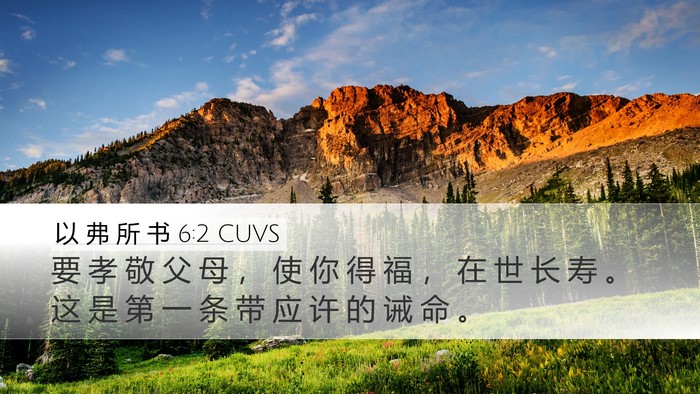 以 弗 所 书 6:2 CUVS Bible Verse Image