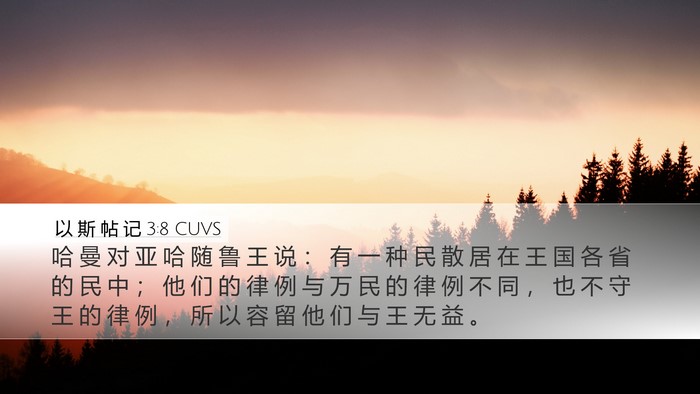 以 斯 帖 记 3:8 CUVS Bible Verse Image