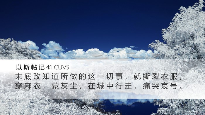 以 斯 帖 记 4:1 CUVS Bible Verse Image