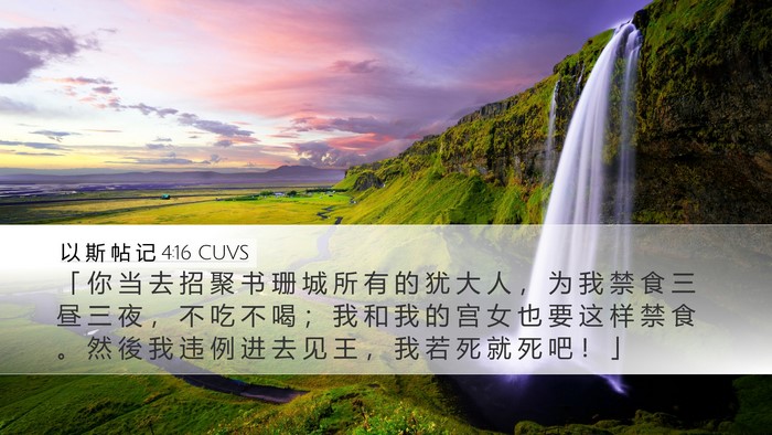 以 斯 帖 记 4:16 CUVS Bible Verse Image