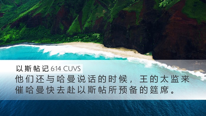 以 斯 帖 记 6:14 CUVS Bible Verse Image