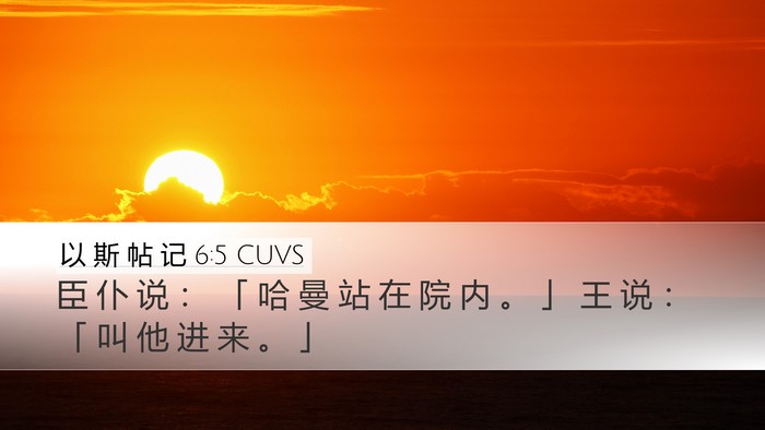 以 斯 帖 记 6:5 CUVS Desktop Wallpaper - 臣 仆 说 ： 「 哈 曼 站 在 院 内 。 - Desktop Bible Verse Wallpaper