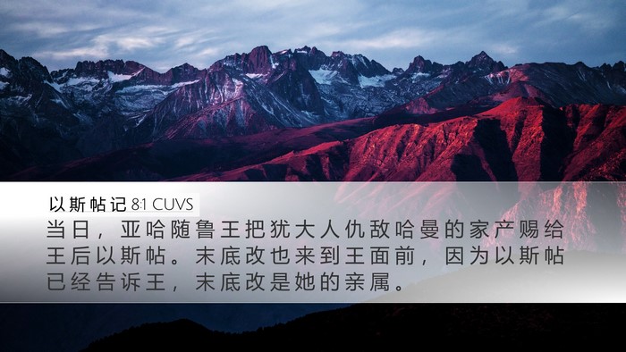 以 斯 帖 记 8:1 CUVS Bible Verse Image