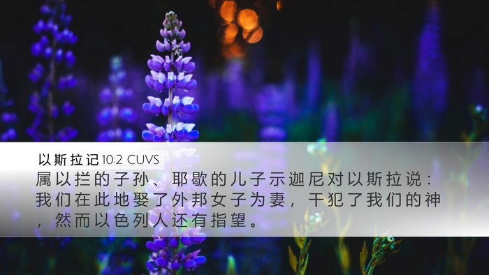 以 斯 拉 记 10:2 CUVS Bible Verse Image