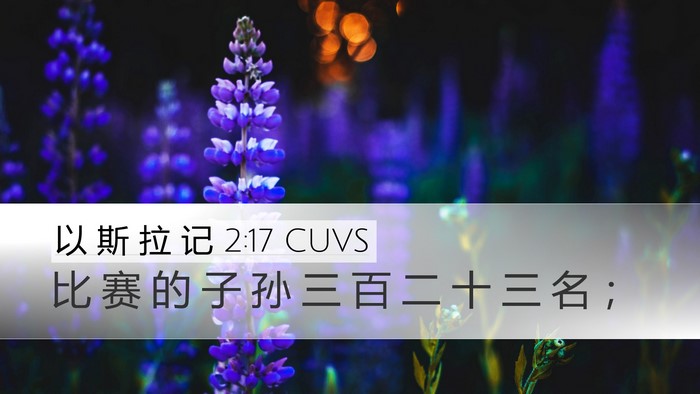 以 斯 拉 记 2:17 CUVS Bible Verse Image