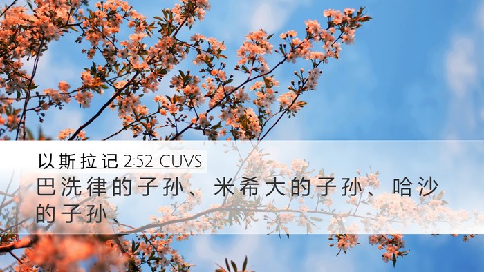 以 斯 拉 记 2:52 CUVS Desktop Wallpaper - 巴 洗 律 的 子 孙 、 米 希 大 的 子 - Desktop Bible Verse Wallpaper