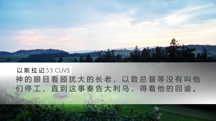 以 斯 拉 记 5:5 CUVS Bible Verse Image
