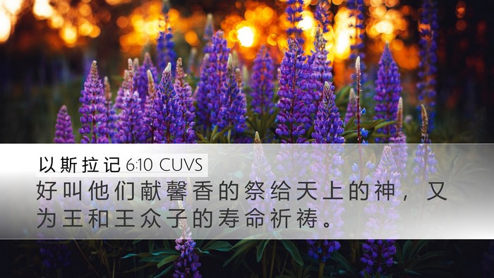 以 斯 拉 记 6:10 CUVS Bible Verse Image