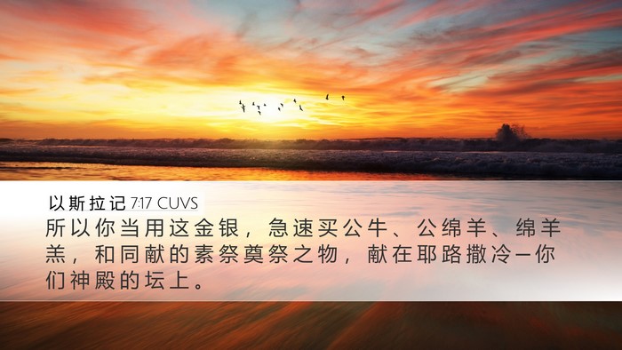 以 斯 拉 记 7:17 CUVS Desktop Wallpaper - 所 以 你 当 用 这 金 银 ， 急 速 买 - Desktop Bible Verse Wallpaper