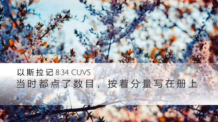 以 斯 拉 记 8:34 CUVS Desktop Wallpaper - 当 时 都 点 了 数 目 ， 按 着 分 量 - Desktop Bible Verse Wallpaper
