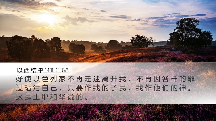 以 西 结 书 14:11 CUVS Bible Verse Image