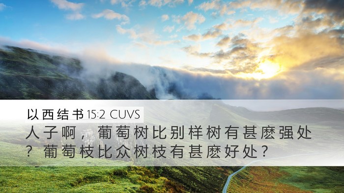 以 西 结 书 15:2 CUVS Bible Verse Image