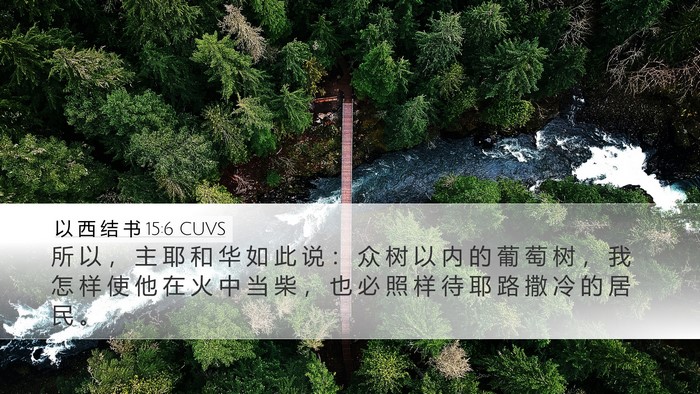 以 西 结 书 15:6 CUVS Bible Verse Image