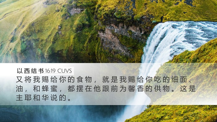 以 西 结 书 16:19 CUVS Bible Verse Image