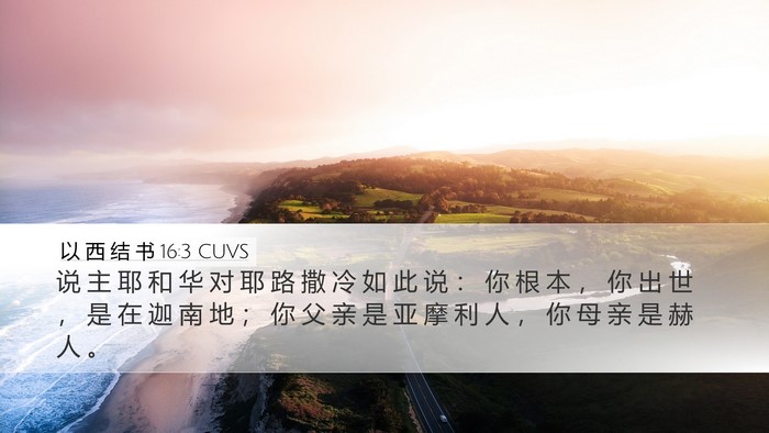 以 西 结 书 16:3 CUVS Bible Verse Image