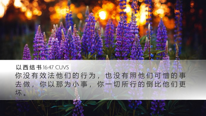 以 西 结 书 16:47 CUVS Bible Verse Image