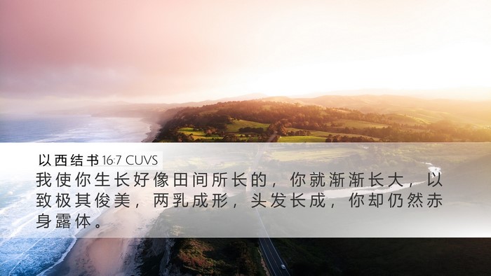 以 西 结 书 16:7 CUVS Bible Verse Image