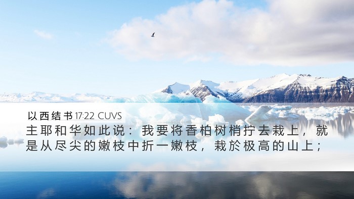以 西 结 书 17:22 CUVS Bible Verse Image
